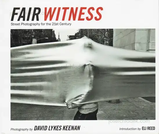 Cover of David Lykes Keenan - Fair Witness
