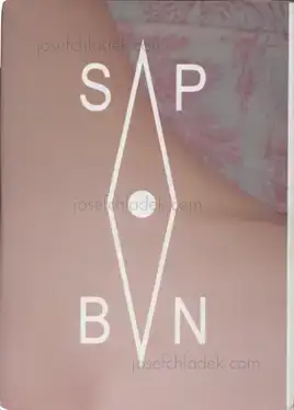 Cover of Aaron McElroy - SPBN Aaron McElroy