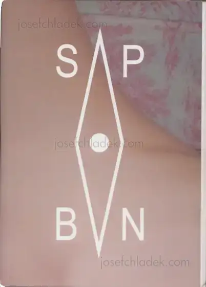 Cover of Aaron McElroy - SPBN Aaron McElroy