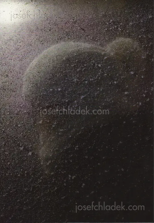 Cover of Dagmar Keller / Martin Wittwer - Passengers