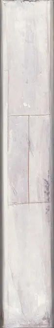 Book spine: Toshitsugu Yamawaki - Dual II