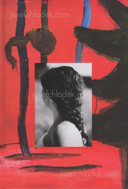 Cover of Katinka Goldberg - Surfacing