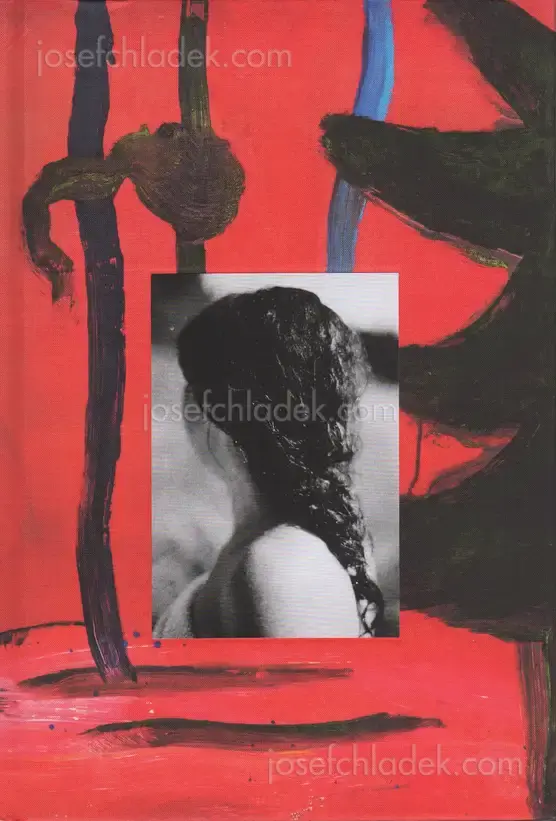 Cover of Katinka Goldberg - Surfacing