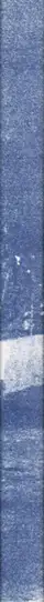 Book spine: Christopher Wool - Absent Without Leave