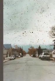 Taiyo Onorato / Nico Krebs - The Great Unreal