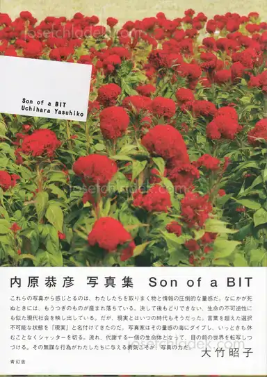 Yasuhiko Uchihara - Son of a bit Yasuhiko Uchihara - Son of a bit