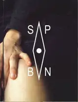 Cover of Bruno Ceschel (Ed.) - Self Publish, Be Naughty