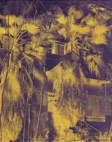 José Pedro Cortes - Things Here and Things Still to Come