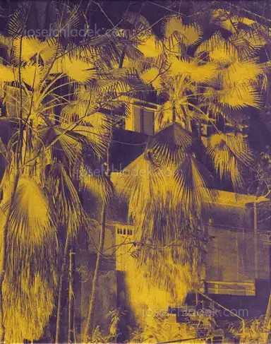 José Pedro Cortes - Things Here and Things Still to Come José Pedro Cortes - Things Here and Things Still to Come