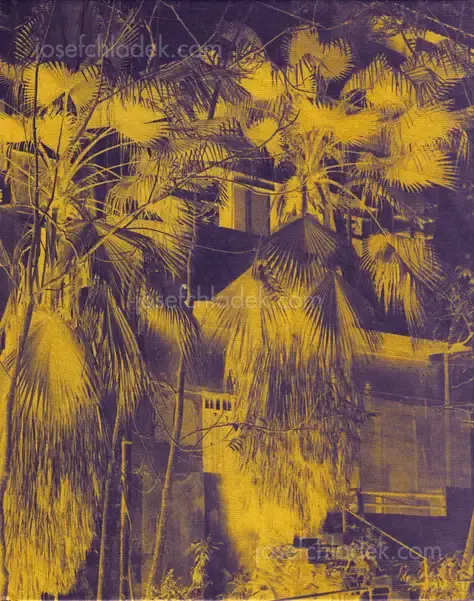 Cover of José Pedro Cortes - Things Here and Things Still to Come