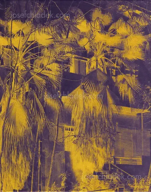 Cover of José Pedro Cortes - Things Here and Things Still to Come