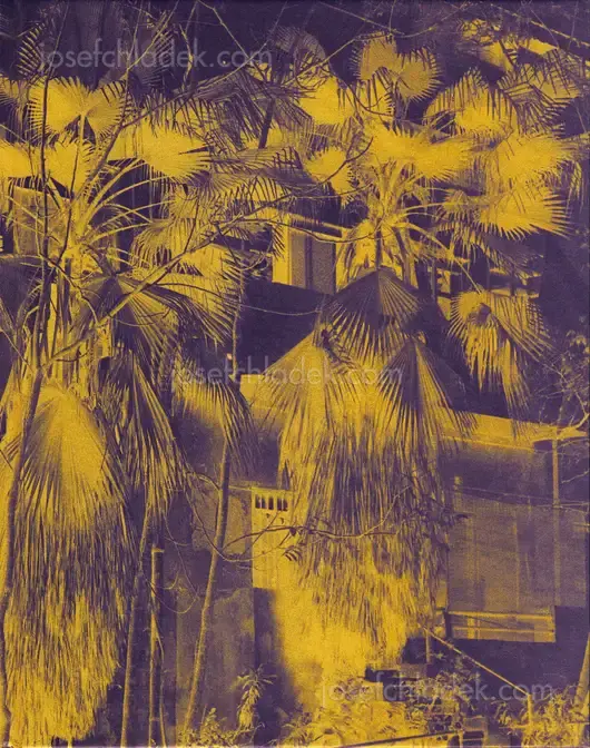 Cover of José Pedro Cortes - Things Here and Things Still to Come