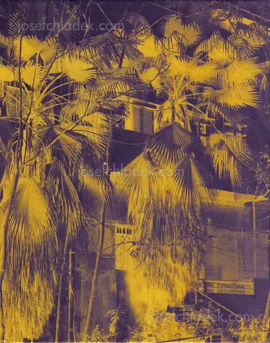 Cover of José Pedro Cortes - Things Here and Things Still to Come