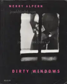 Merry Alpern - Dirty Window