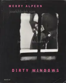 Merry Alpern - Dirty Window