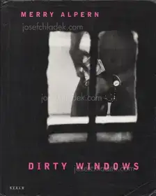 Merry Alpern - Dirty Window