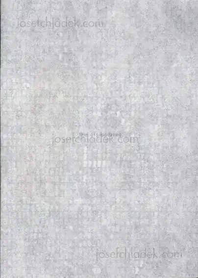 Cover of Veronica Fieiras - the disappeared (second edition)