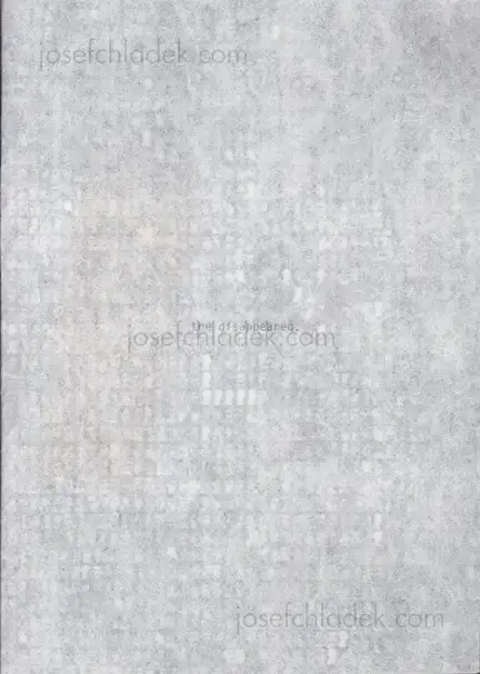 Cover of Veronica Fieiras - the disappeared (second edition)