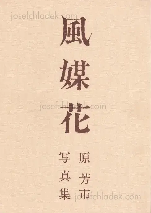 Cover of Yoshiichi Hara - Fubaika