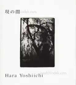 Yoshiichi Hara - Dark of True
