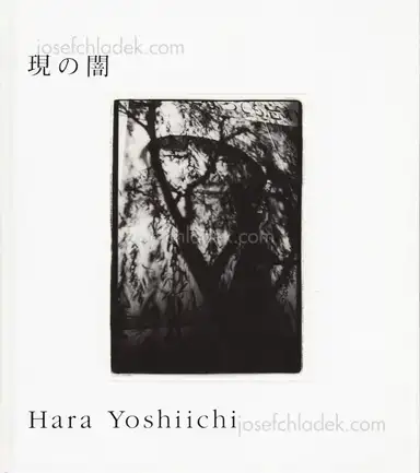 Yoshiichi Hara - Dark of True Yoshiichi Hara - Dark of True