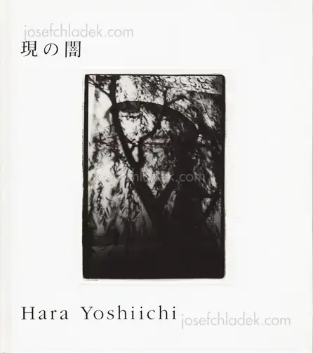 Cover of Yoshiichi Hara - Dark of True