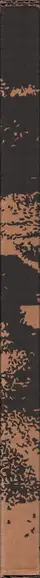 Book spine: Tamiko Nishimura - Shikishima (西村多美子『しきしま』)