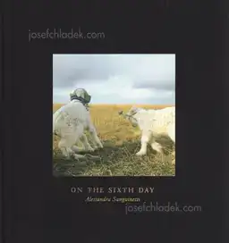 Alessandra Sanguinetti - On The Sixth Day