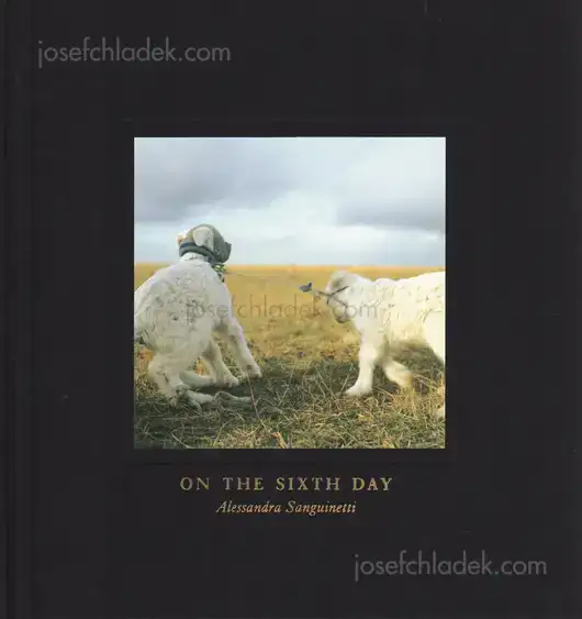 Cover of Alessandra Sanguinetti - On The Sixth Day