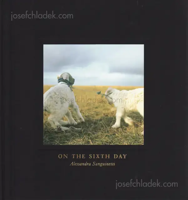 Cover of Alessandra Sanguinetti - On The Sixth Day