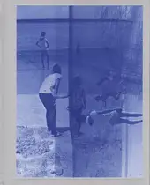 Atsushi Fujiwara - Butterfly had a dream