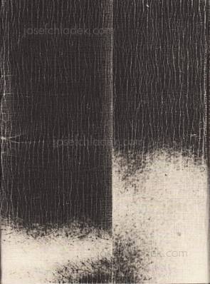  Vladislav and Lebedynskyy Krasnoshek - Euromaidan (Back)