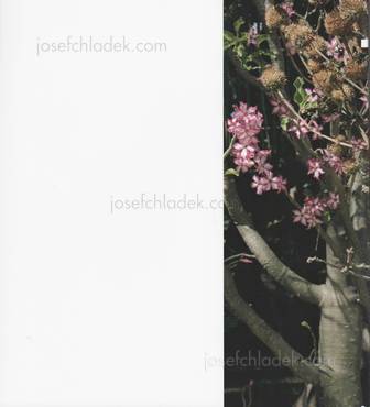  Jackie Nickerson - Contact Sheet 174 - Terrain (Back)