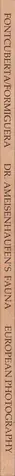 Book spine: Joan Fontcuberta and Pere Formiguera - Dr. Ameisenhaufen's Fauna