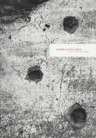 Cover of Salvatore Santoro - Verbrannte Erde