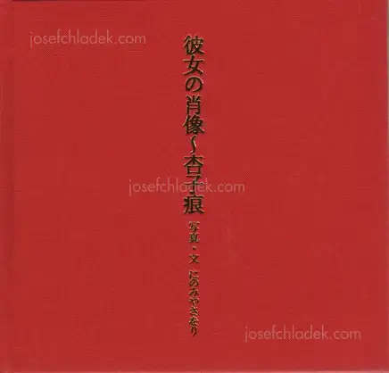 Cover of Saori Ninomiya - Her Portrait – On the Traces of Kyoko