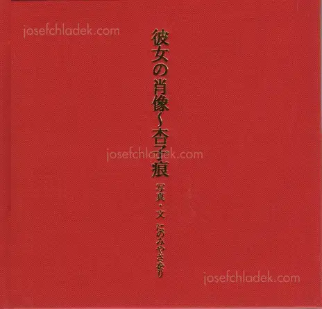 Cover of Saori Ninomiya - Her Portrait – On the Traces of Kyoko