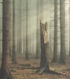  Philipp Ebeling - Land without Past (Front)