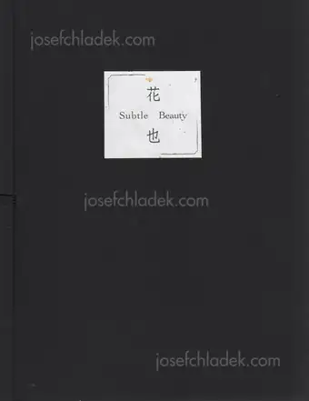 Cover of Kazuhiko Matsumura - Subtle beauty      