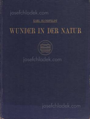  Karl Blossfeldt - Wunder der Natur (Front)