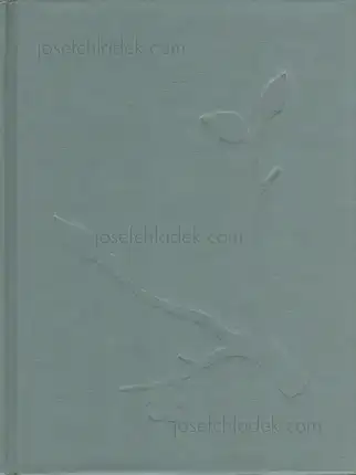 Cover of Julia Borissova - Running to the Edge