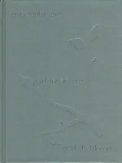 Cover of Julia Borissova - Running to the Edge