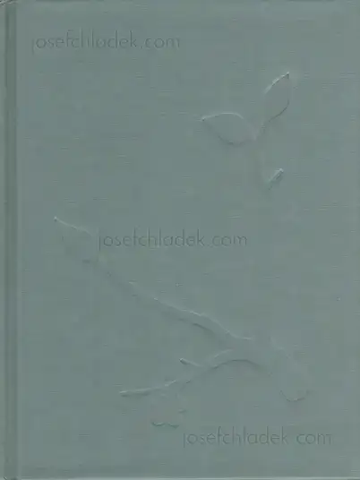 Cover of Julia Borissova - Running to the Edge