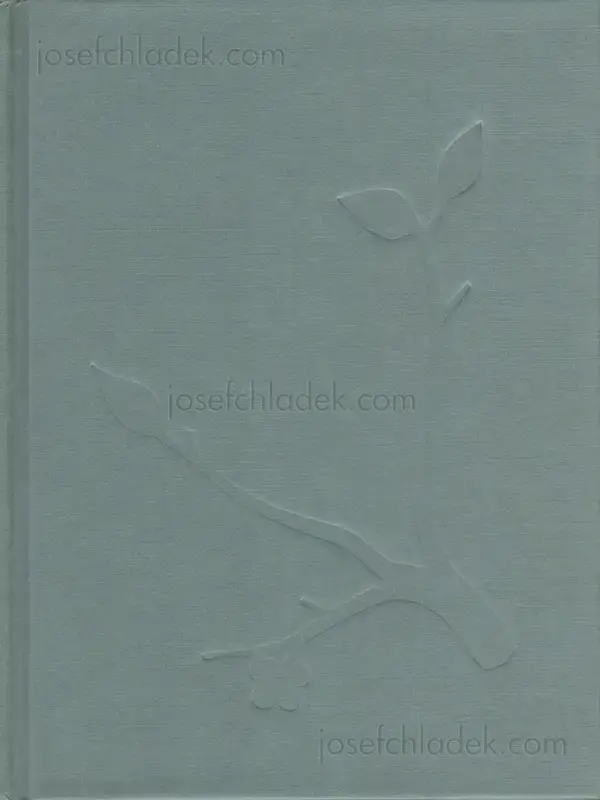 Cover of Julia Borissova - Running to the Edge