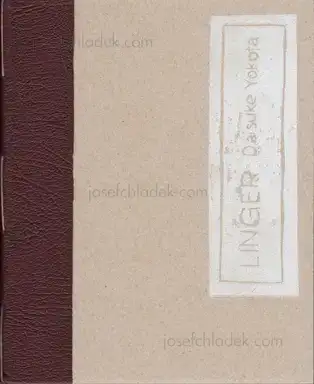Cover of Daisuke Yokota - Linger (Teikai)