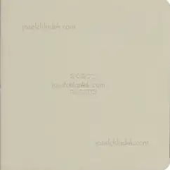 Koji Onaka - Horse & Cactus