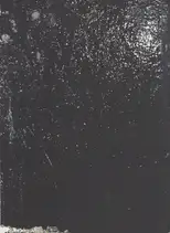 Max Pinckers - Will They Sing Like Raindrops or Leave Me Thirsty