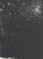 Max Pinckers - Will They Sing Like Raindrops or Leave Me Thirsty