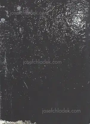 Cover of Max Pinckers - Will They Sing Like Raindrops or Leave Me Thirsty