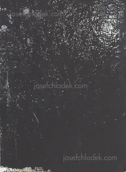 Cover of Max Pinckers - Will They Sing Like Raindrops or Leave Me Thirsty